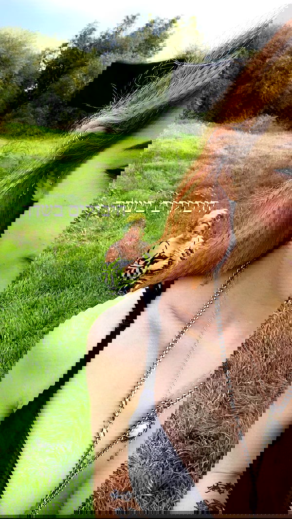 feelbetterinmysweater feelbetterinmysweater archive image