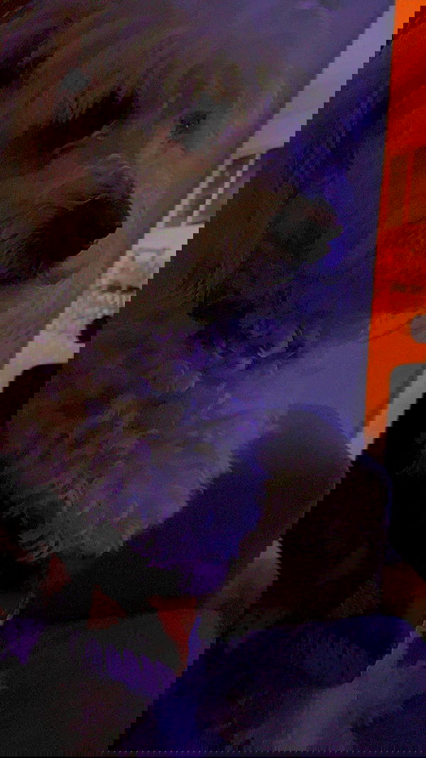 feelbetterinmysweater feelbetterinmysweater archive image