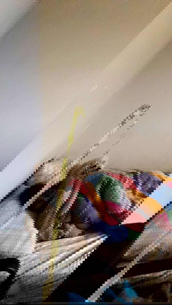 feelbetterinmysweater feelbetterinmysweater archive image