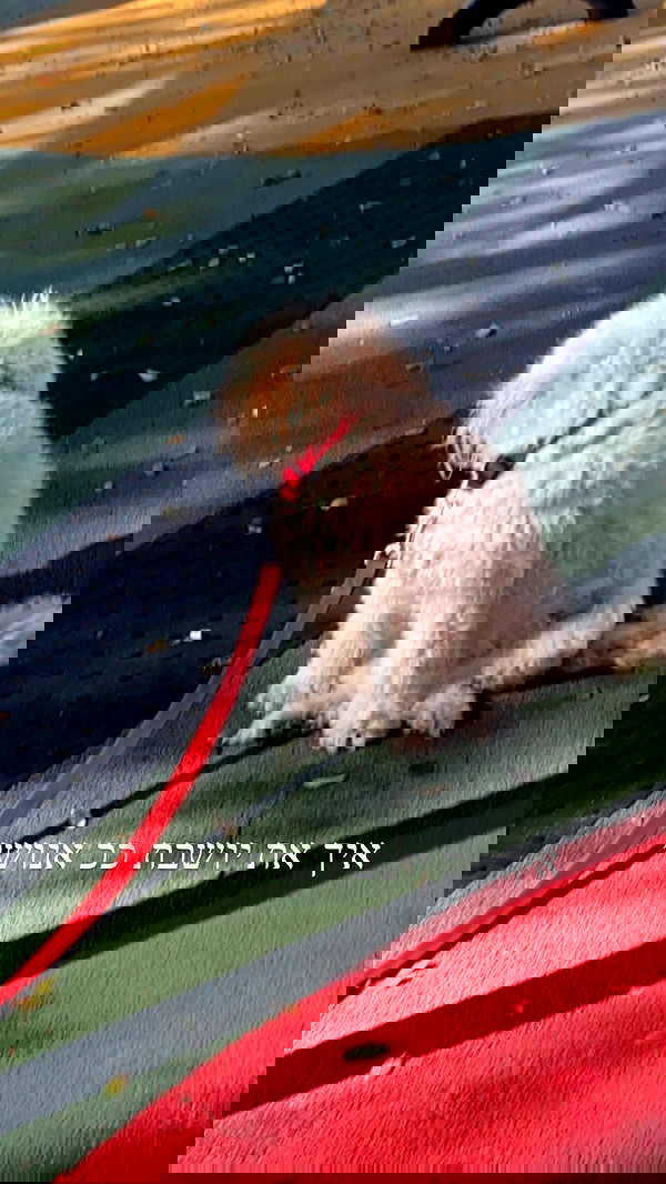 feelbetterinmysweater feelbetterinmysweater archive image