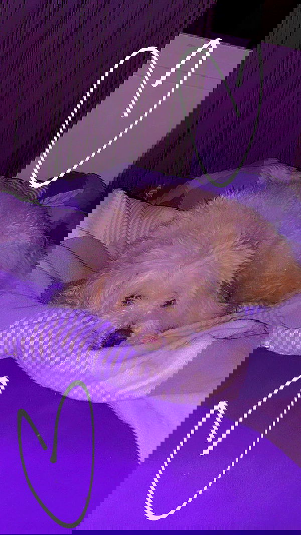 feelbetterinmysweater feelbetterinmysweater archive image