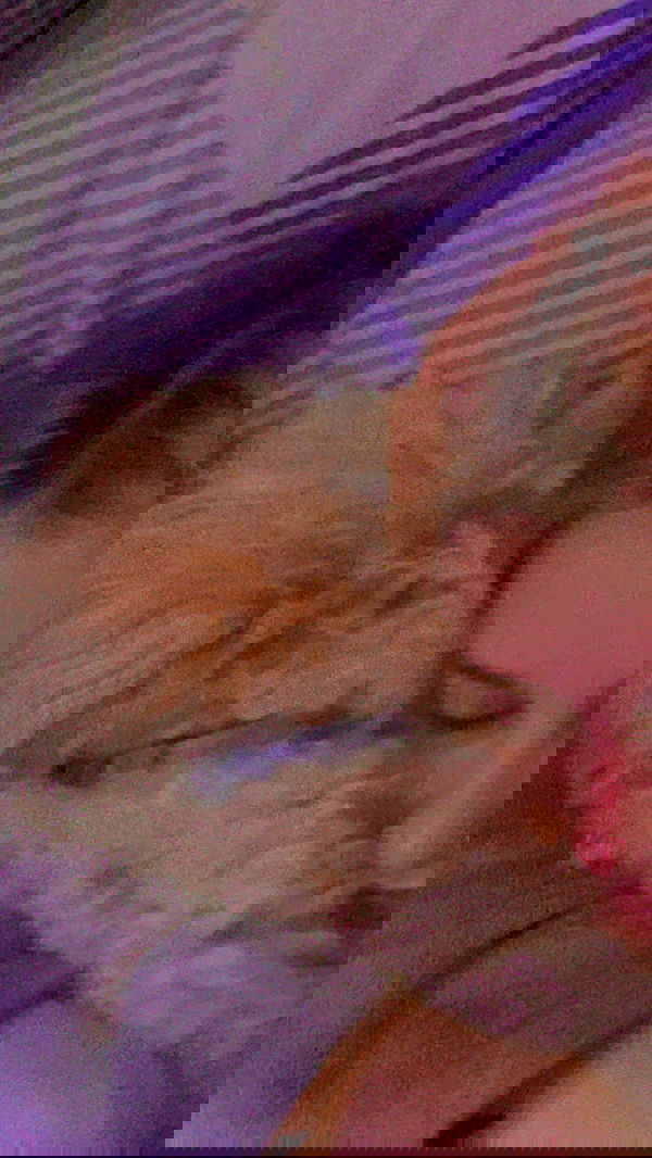 feelbetterinmysweater feelbetterinmysweater archive image