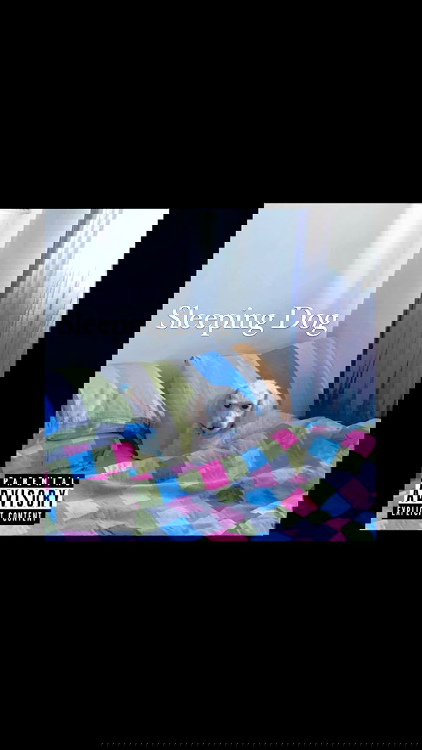 feelbetterinmysweater feelbetterinmysweater archive image