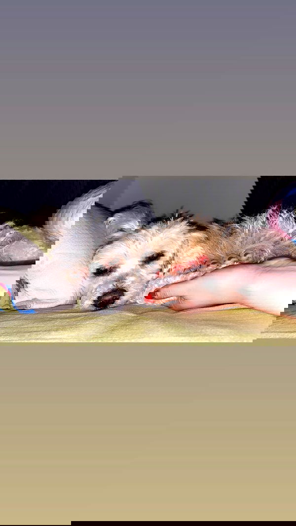 feelbetterinmysweater feelbetterinmysweater archive image