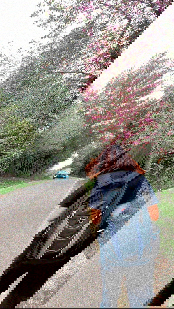 feelbetterinmysweater feelbetterinmysweater archive image