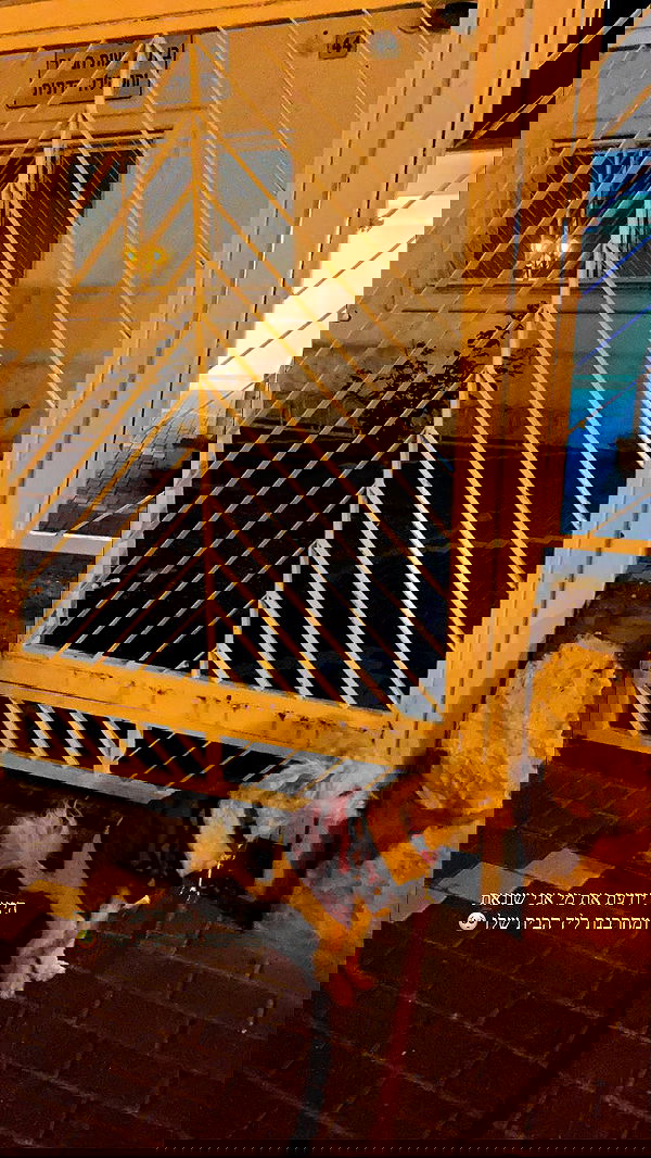 feelbetterinmysweater feelbetterinmysweater archive image