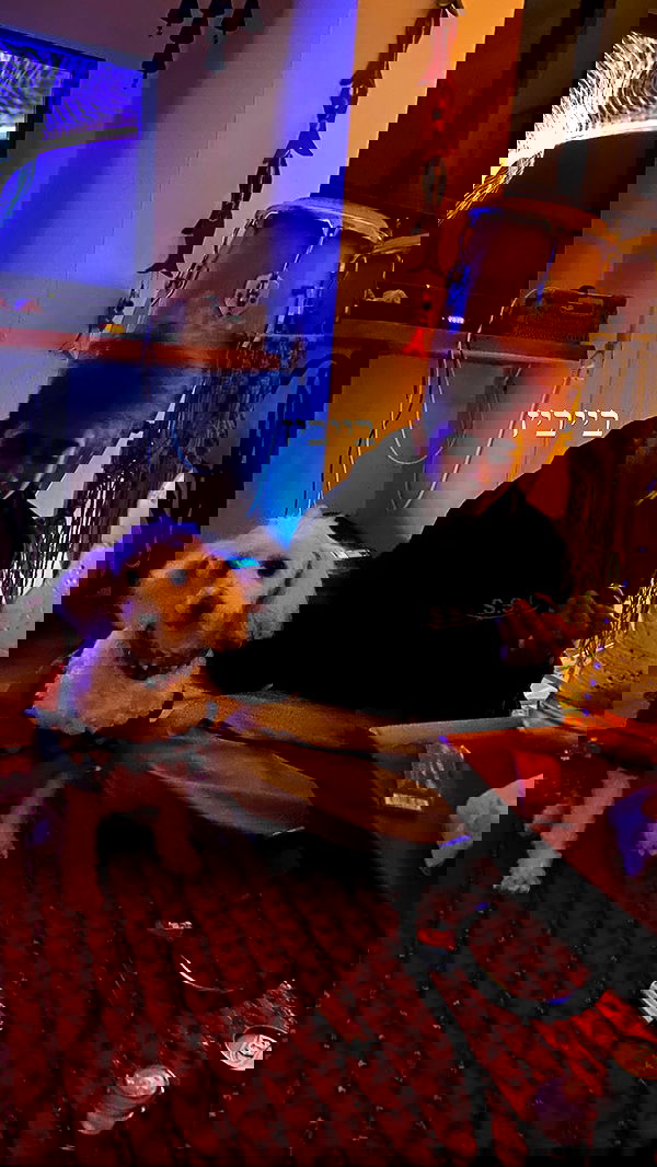 feelbetterinmysweater feelbetterinmysweater archive image