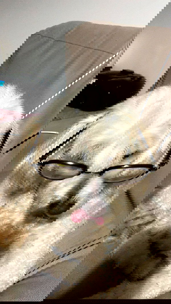 feelbetterinmysweater feelbetterinmysweater archive image