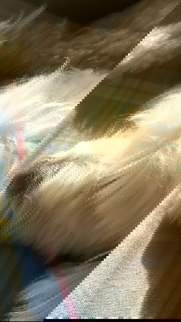 feelbetterinmysweater feelbetterinmysweater archive image