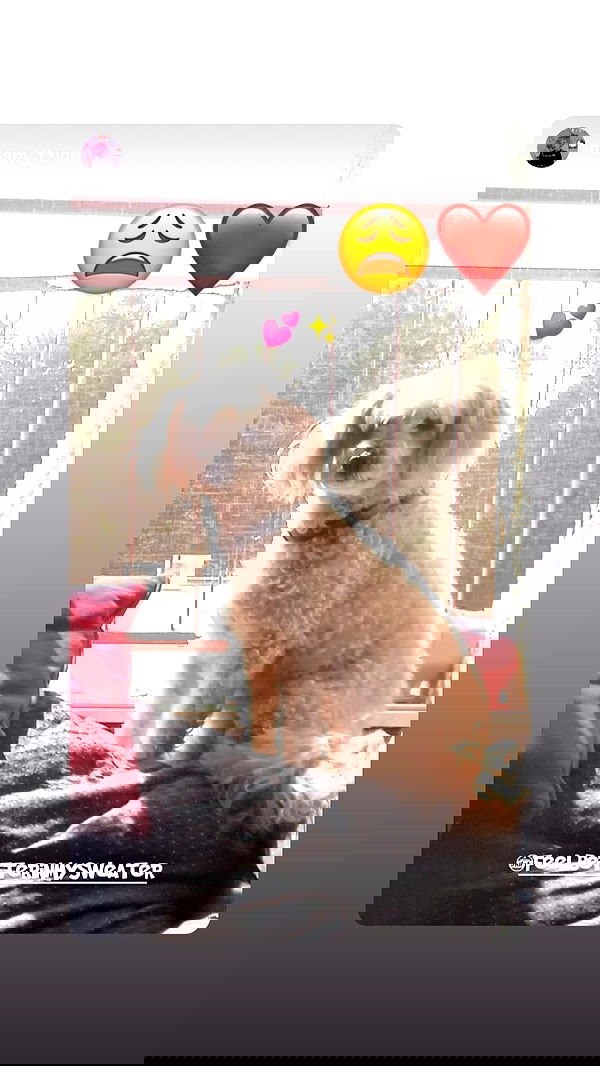 feelbetterinmysweater feelbetterinmysweater archive image