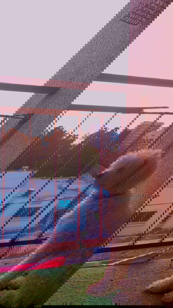 feelbetterinmysweater feelbetterinmysweater archive image