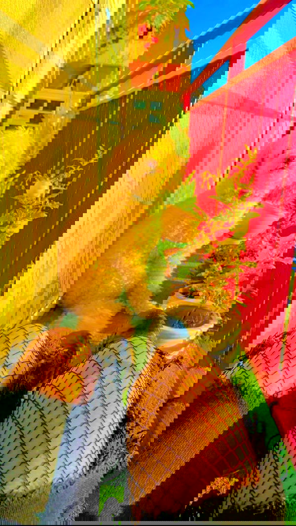 feelbetterinmysweater feelbetterinmysweater archive image