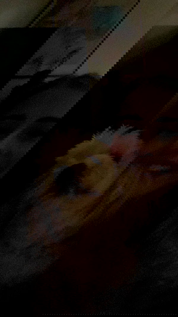 feelbetterinmysweater feelbetterinmysweater archive image