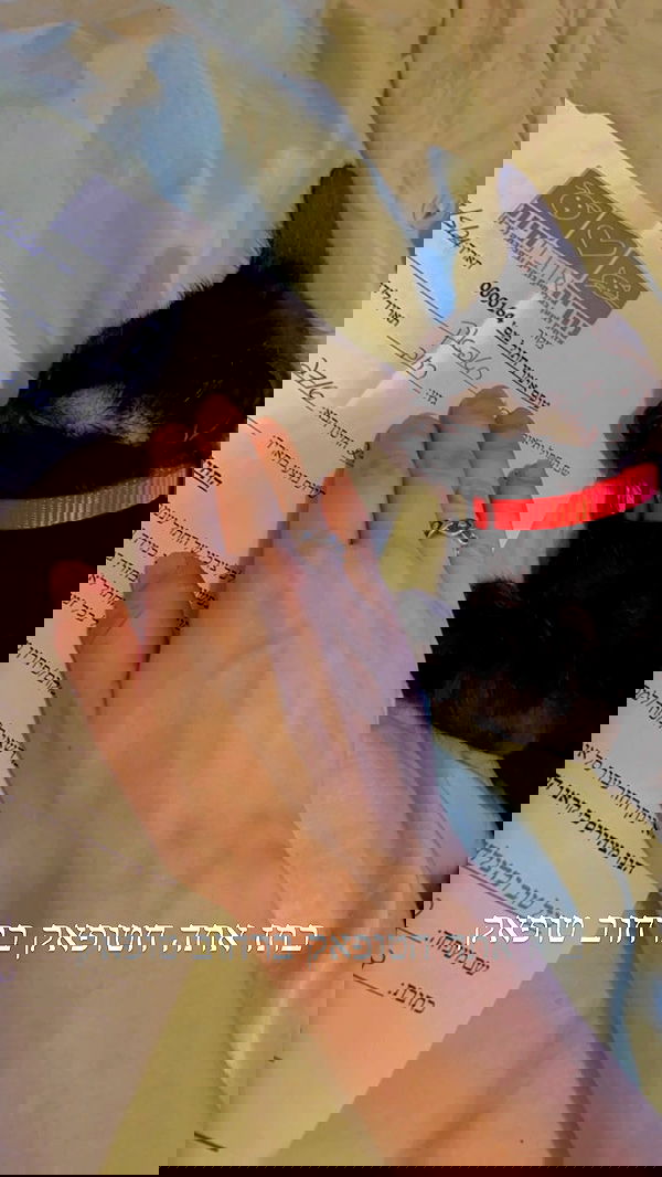 feelbetterinmysweater feelbetterinmysweater archive image