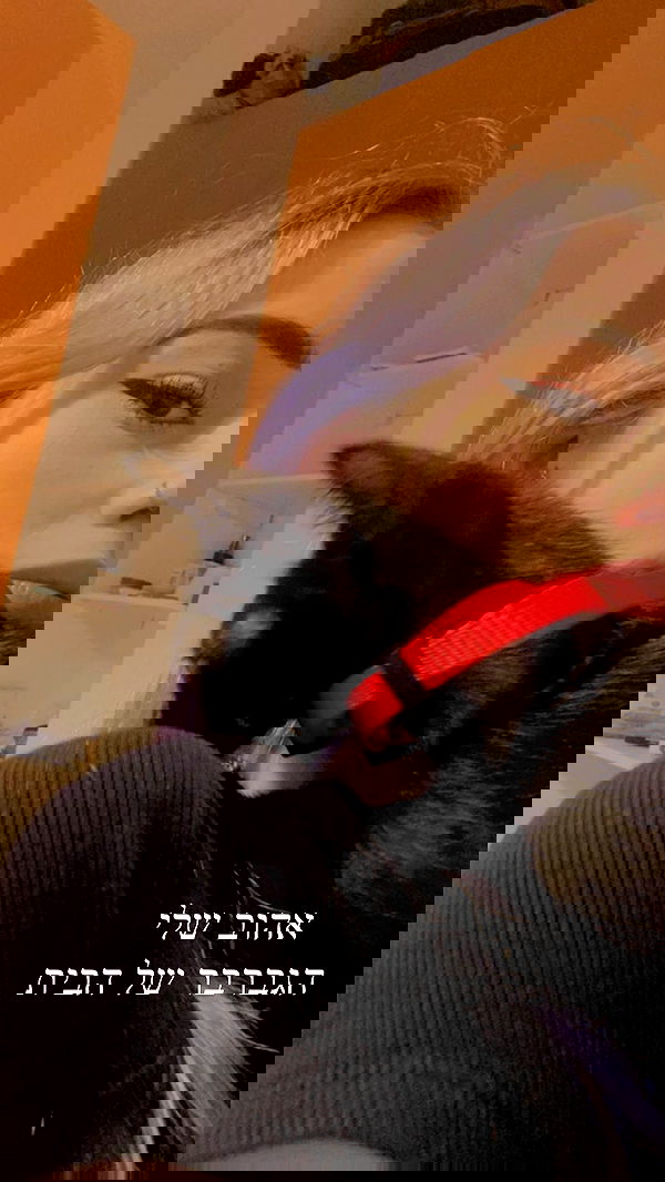 feelbetterinmysweater feelbetterinmysweater archive image