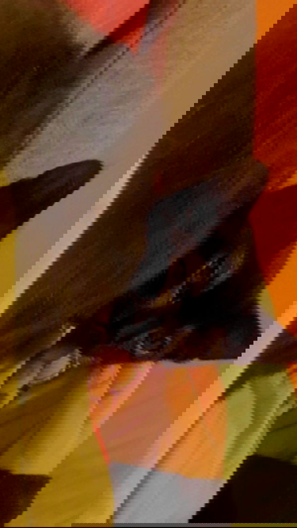 feelbetterinmysweater feelbetterinmysweater archive image