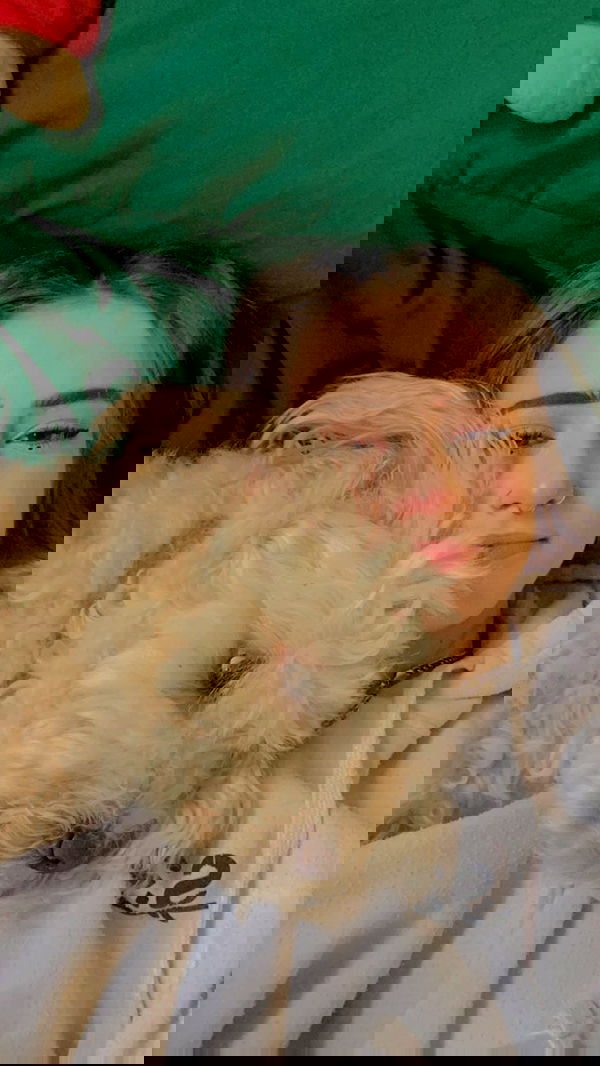 feelbetterinmysweater feelbetterinmysweater archive image