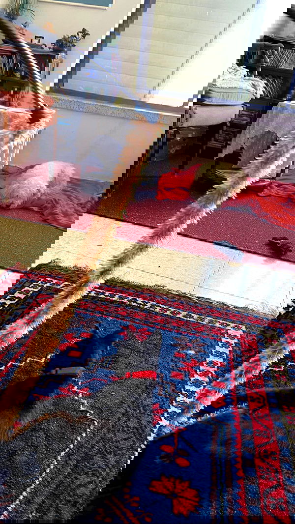 feelbetterinmysweater feelbetterinmysweater archive image