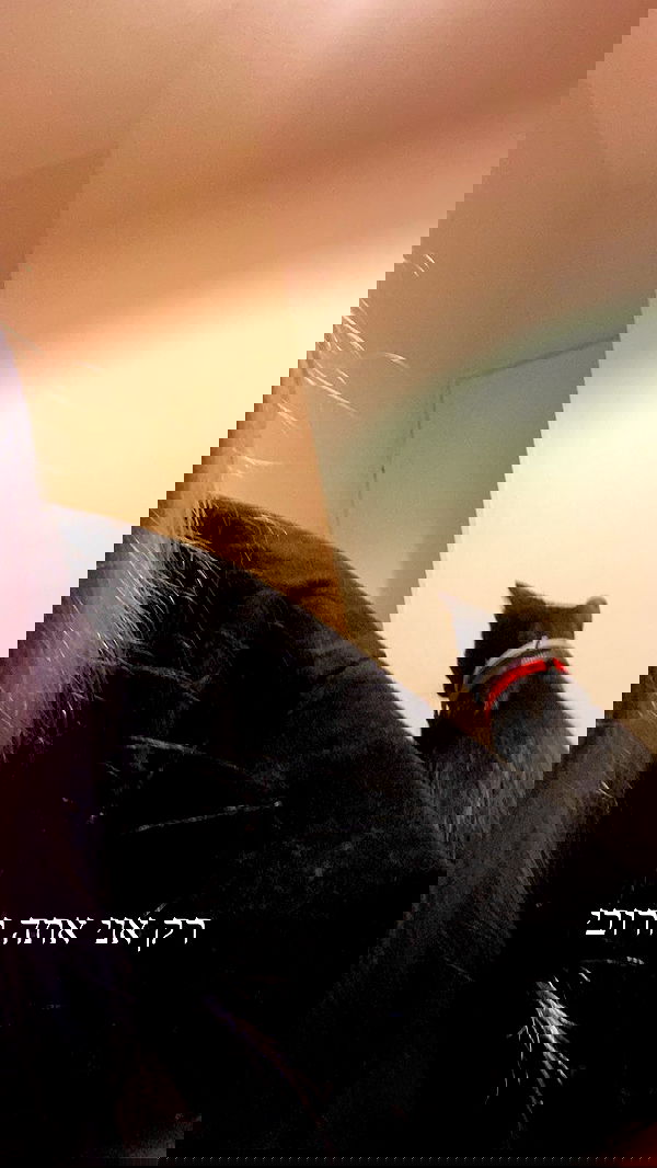 feelbetterinmysweater feelbetterinmysweater archive image