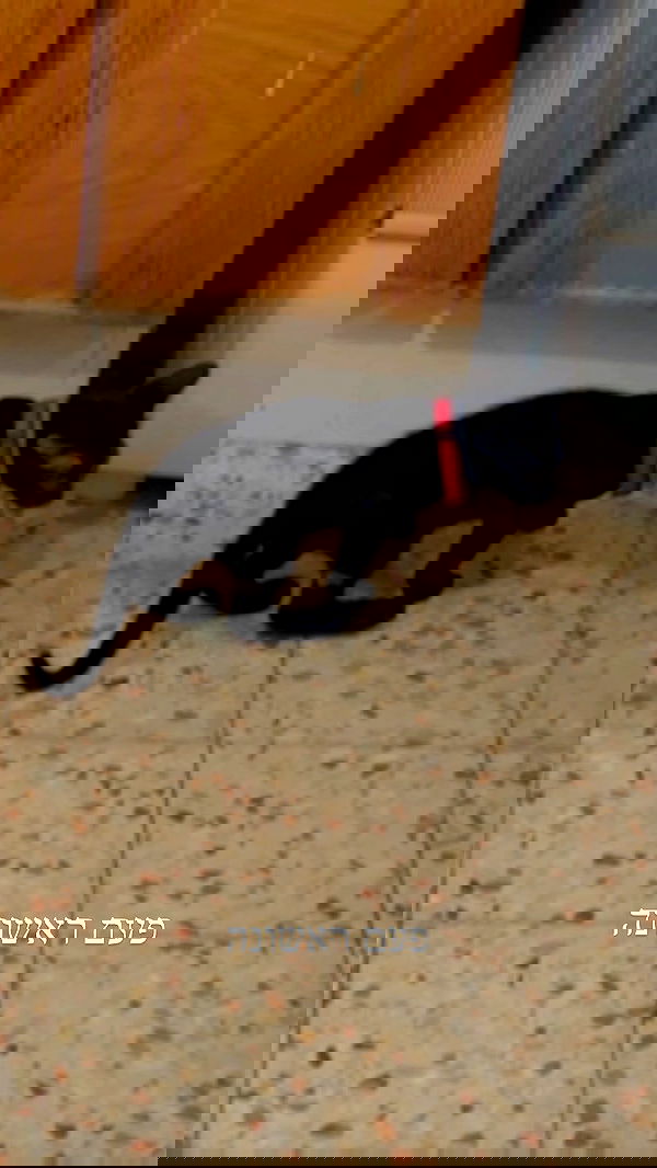 feelbetterinmysweater feelbetterinmysweater archive image