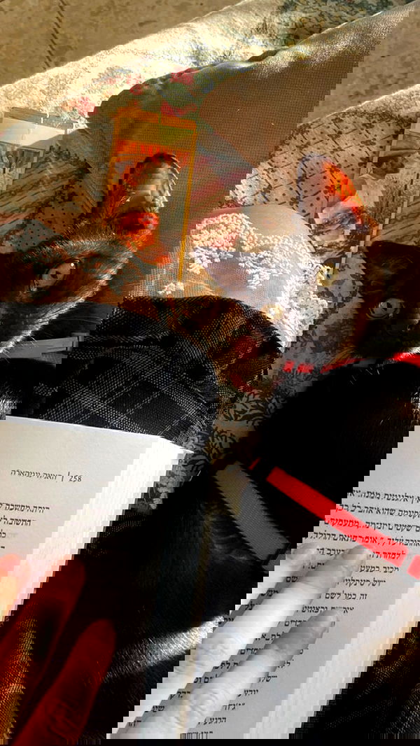 feelbetterinmysweater feelbetterinmysweater archive image