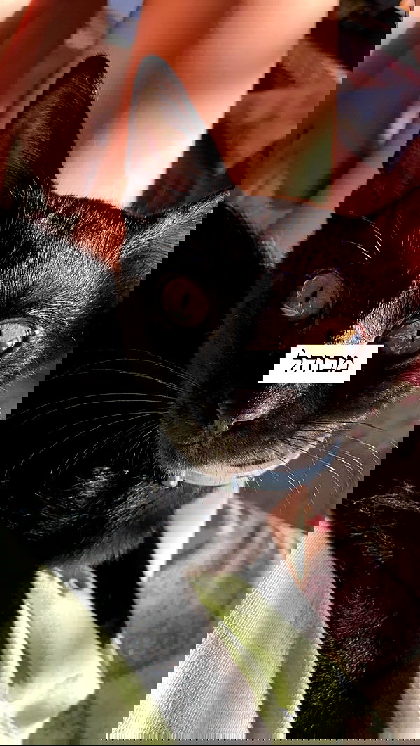 feelbetterinmysweater feelbetterinmysweater archive image