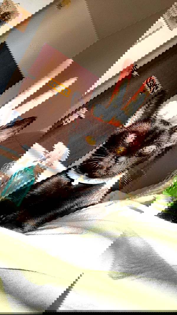 feelbetterinmysweater feelbetterinmysweater archive image