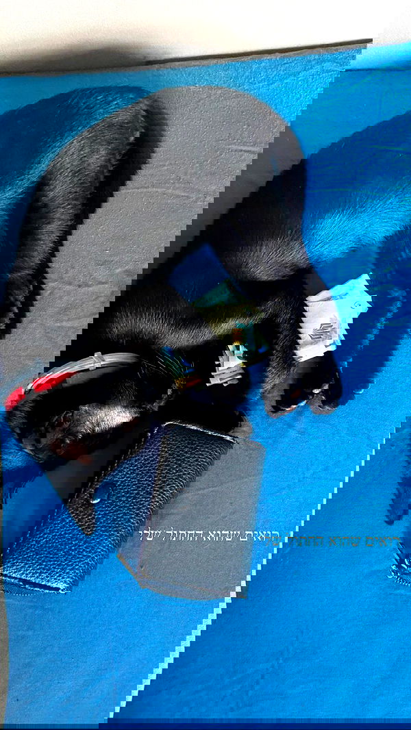 feelbetterinmysweater feelbetterinmysweater archive image