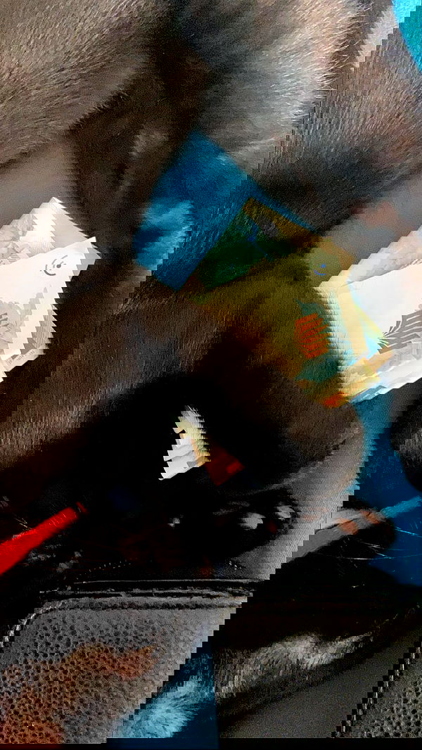 feelbetterinmysweater feelbetterinmysweater archive image