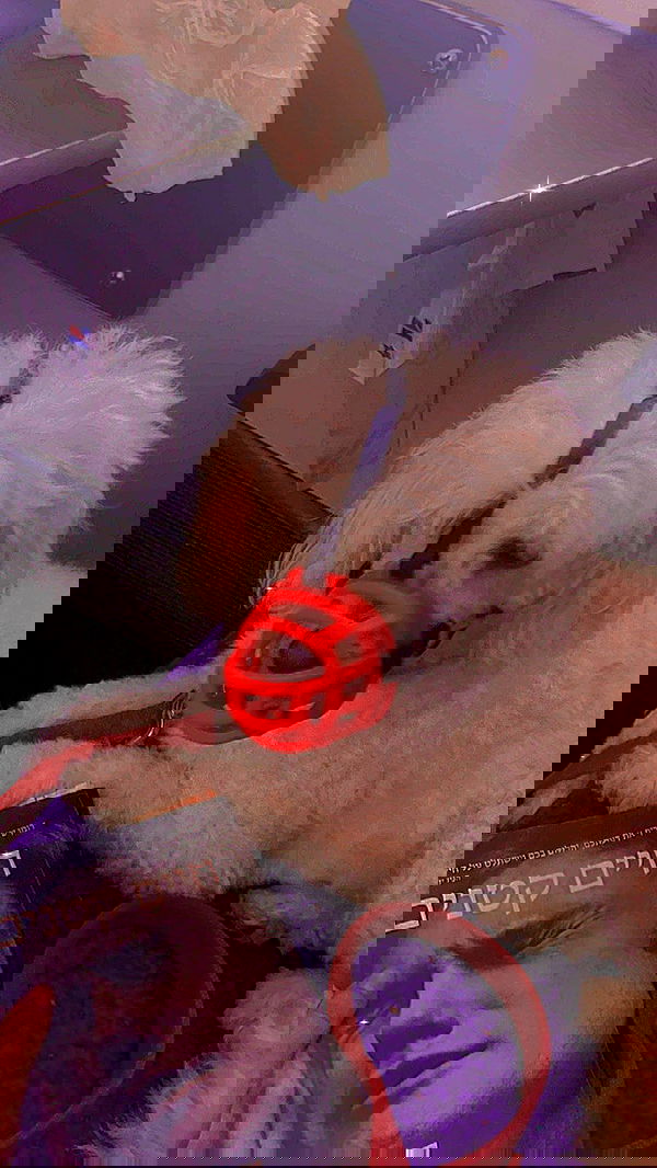 feelbetterinmysweater feelbetterinmysweater archive image