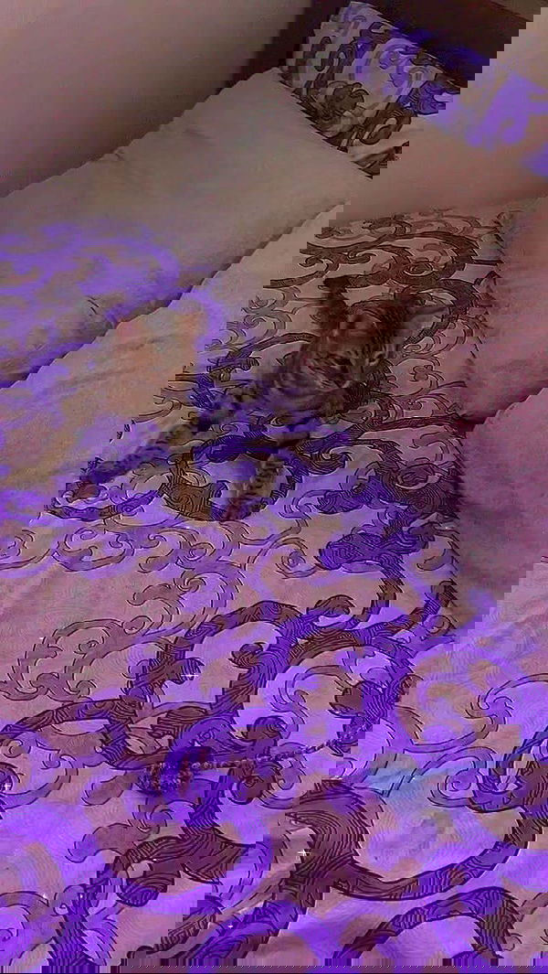 feelbetterinmysweater feelbetterinmysweater archive image