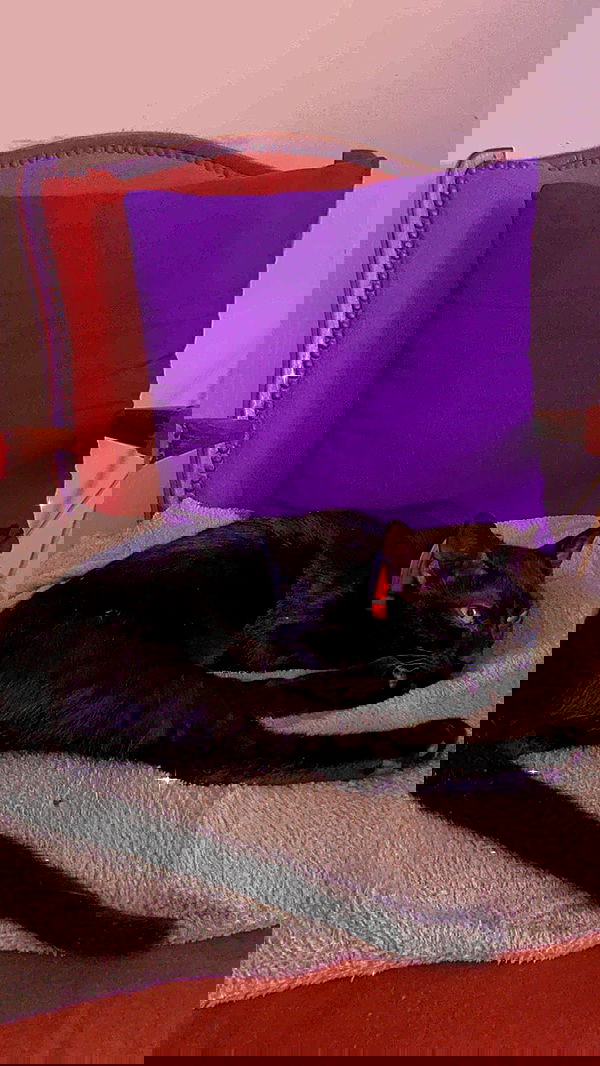 feelbetterinmysweater feelbetterinmysweater archive image