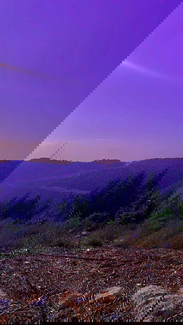 feelbetterinmysweater feelbetterinmysweater archive image