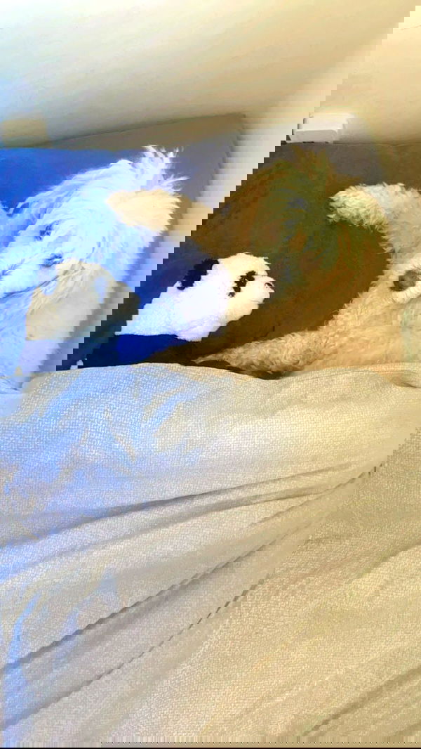 feelbetterinmysweater feelbetterinmysweater archive image