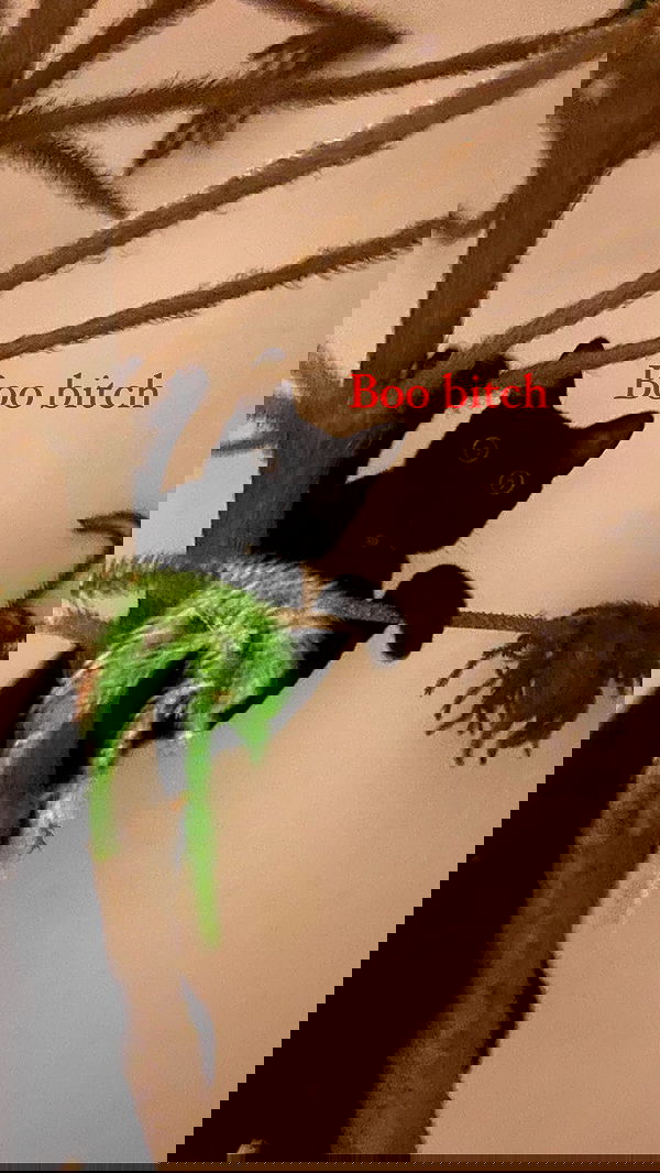 feelbetterinmysweater feelbetterinmysweater archive image