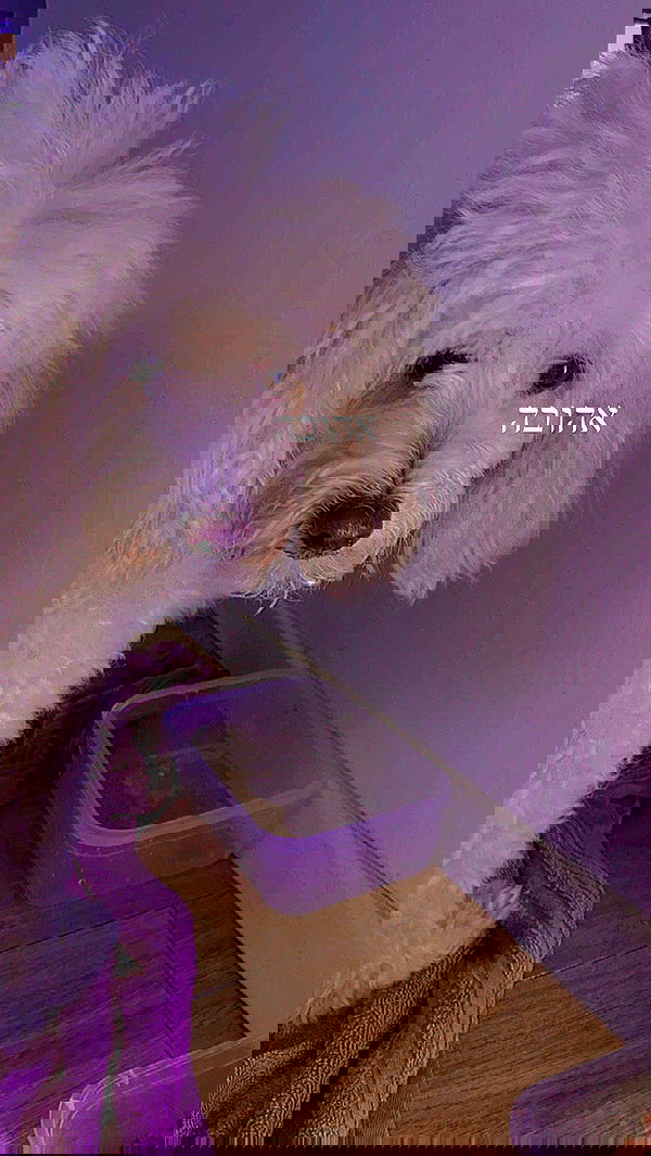 feelbetterinmysweater feelbetterinmysweater archive image