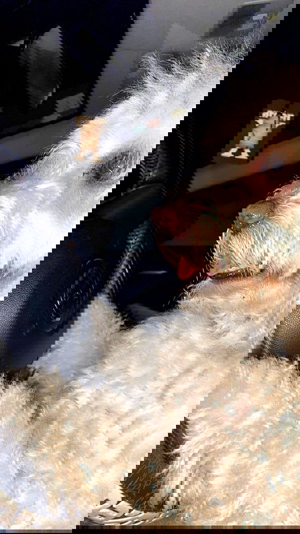 feelbetterinmysweater feelbetterinmysweater archive image