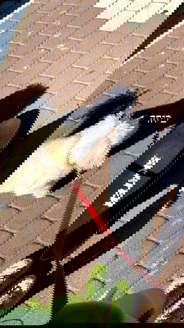 feelbetterinmysweater feelbetterinmysweater archive image