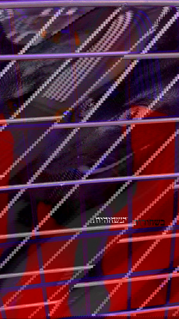 feelbetterinmysweater feelbetterinmysweater archive image