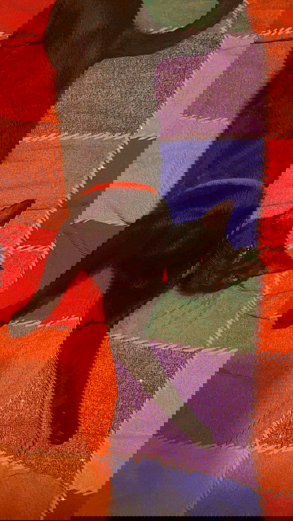 feelbetterinmysweater feelbetterinmysweater archive image