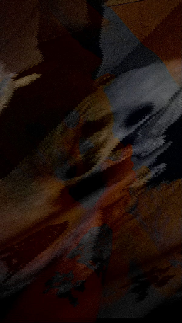 feelbetterinmysweater feelbetterinmysweater archive image