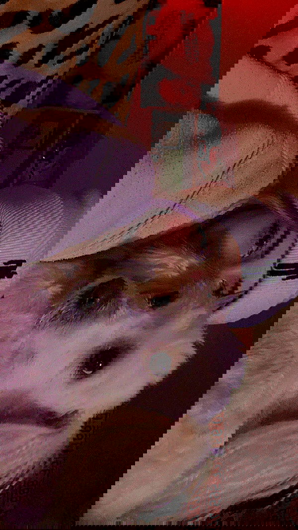 feelbetterinmysweater feelbetterinmysweater archive image