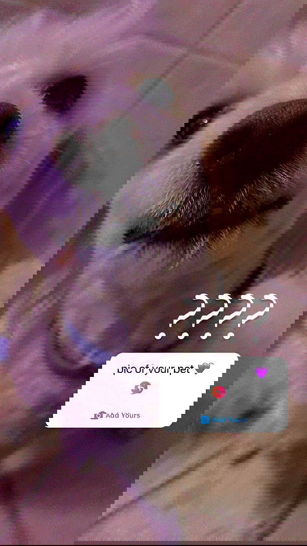 feelbetterinmysweater feelbetterinmysweater archive image