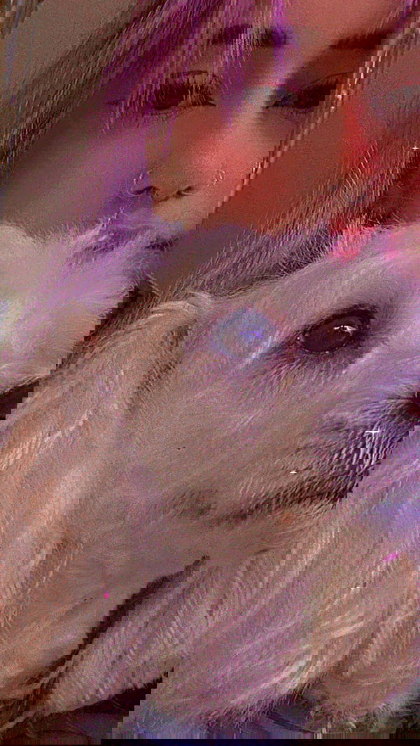 feelbetterinmysweater feelbetterinmysweater archive image