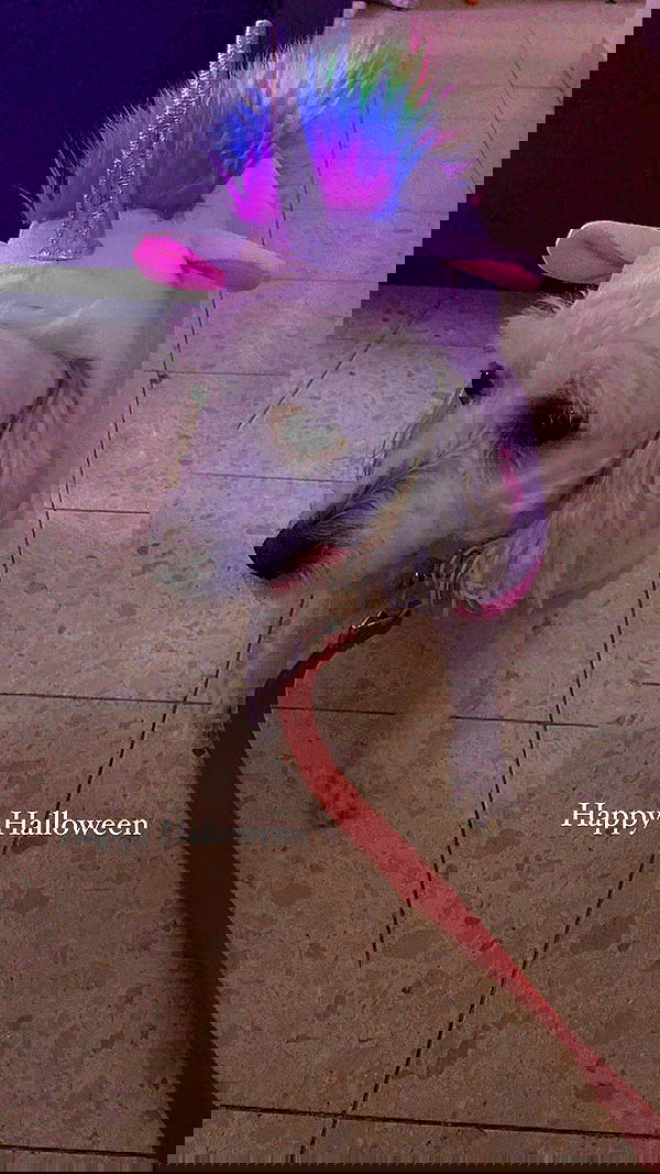 feelbetterinmysweater feelbetterinmysweater archive image