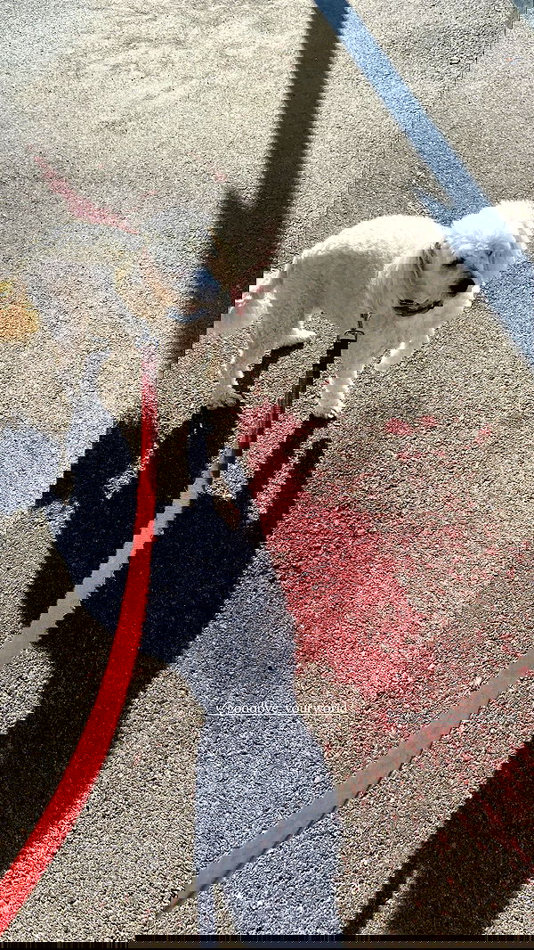 feelbetterinmysweater feelbetterinmysweater archive image