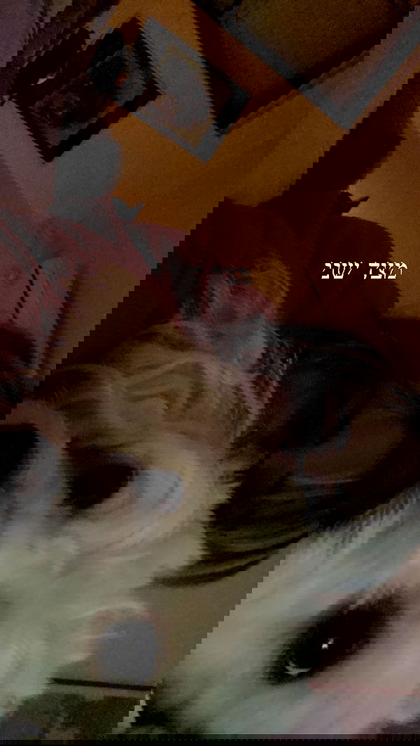 feelbetterinmysweater feelbetterinmysweater archive image