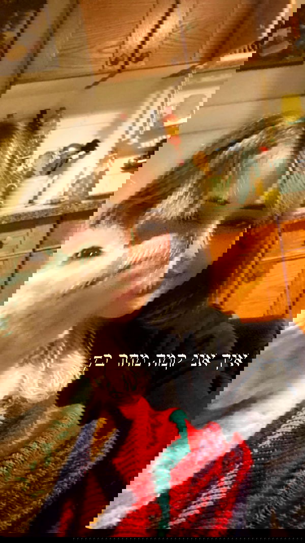 feelbetterinmysweater feelbetterinmysweater archive image