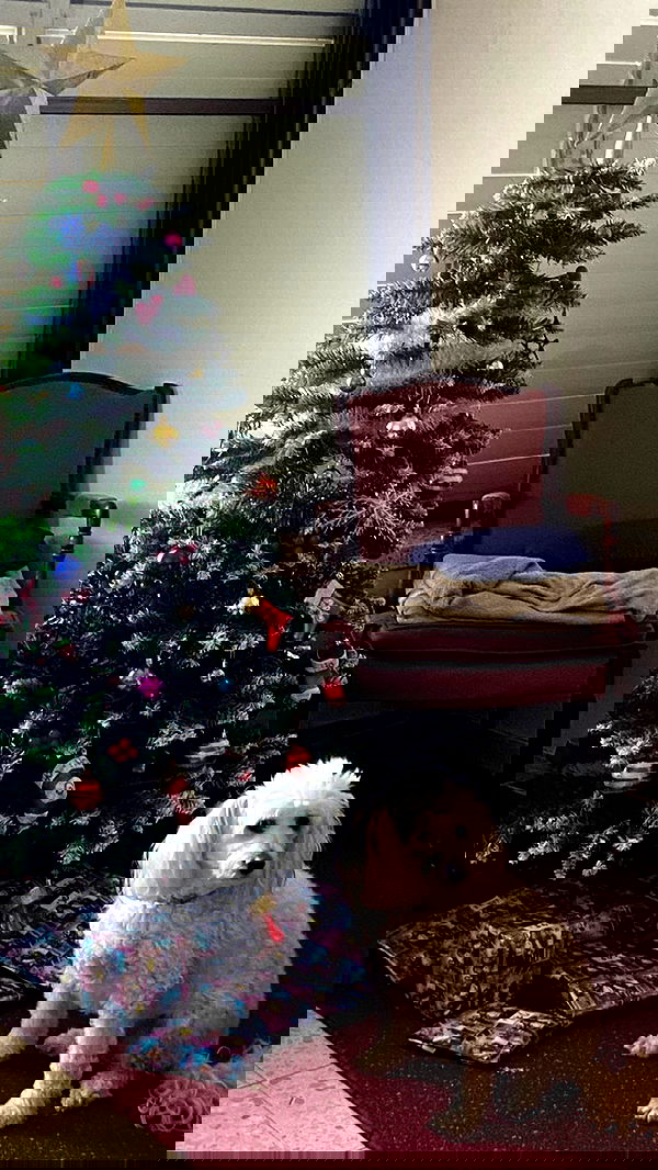 feelbetterinmysweater feelbetterinmysweater archive image