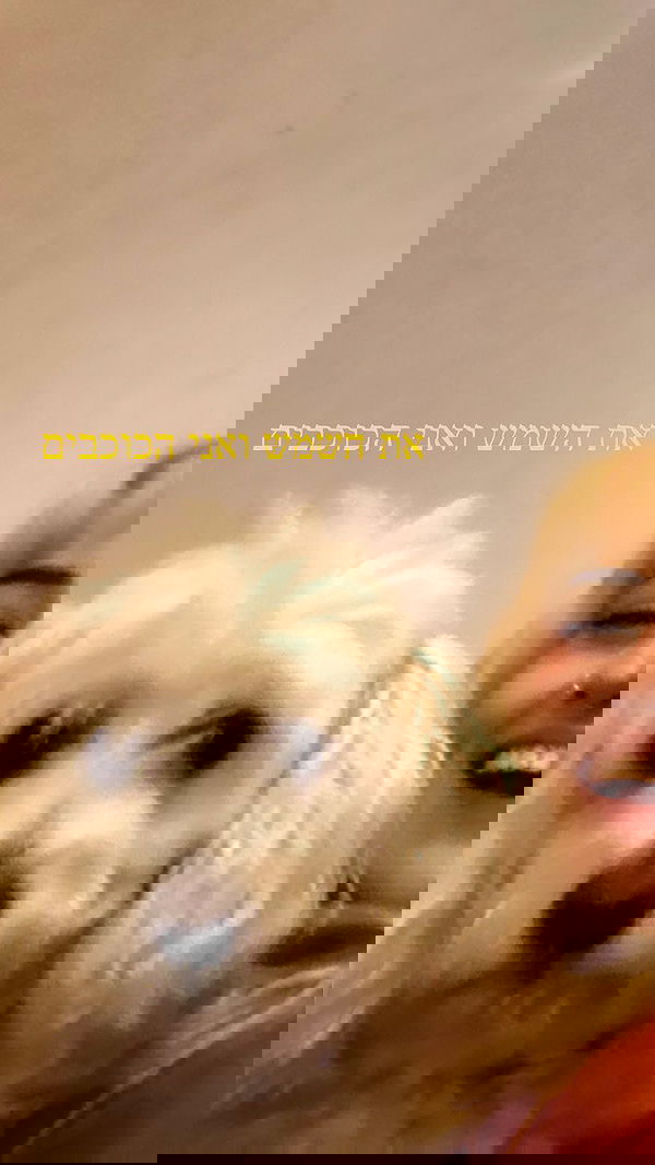 feelbetterinmysweater feelbetterinmysweater archive image